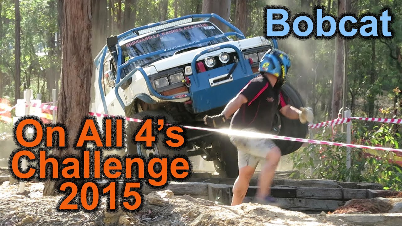 On All 4s "Bobcat" climbing a tree at the articulator YouTube