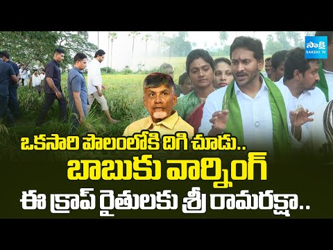 YS Jagan Warns Chandrababu | ఈ క్రాప్ రైతులకు శ్రీ రామరక్షా.. | YS Jagan field visit In Pedana