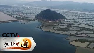 《生财有道》 生态中国系列（沿海行）：浙江三门的山海经 20190109 | CCTV财经