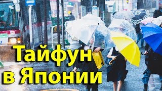 В ЯПОНИИ ТАЙФУН ИДЕТ НА ТОКИО. Как я на себе ощутил тайфуны в Японии В ЯПОНИИ ТАЙФУН ИДЕТ НА ТОКИО. Как я на себе ощутил тайфуны в Японии