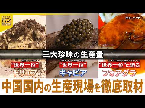 【中国産が世界を席巻】高級キャビアに「フォアグラの郷」も…高級食材の生産現場へ『バンキシャ！』