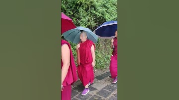 Tibetan Buddhist monk in India 📍🏔️ Dharamshala ❤️ Mcleodganj 🏔️