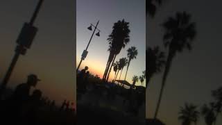 Sunset Vibes Venice Beach Stoners For Elizabeth Warren Peace Love Legalize Cannabis Worldwide
