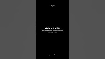﴿هُنالِكَ تَبلو كُلُّ نَفسٍ ما أَسلَفَت﴾ كرومات القارئ عبد الرحمن مسعد سورة يونس .