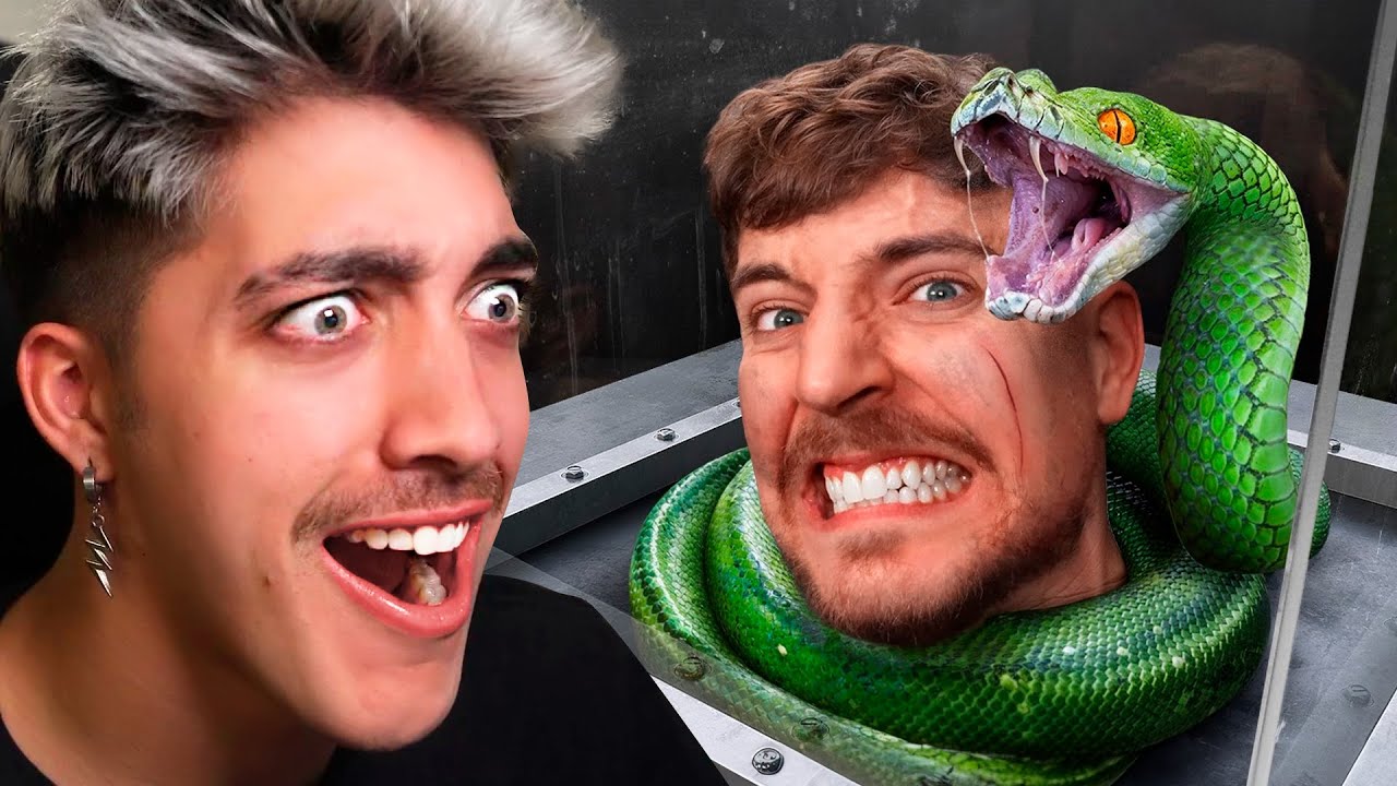 MrBeast enfrenta sus peores miedos 😰