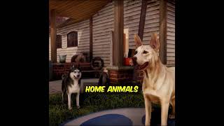 #gaming #games #gameplaytrailer #videogames #animalshelter #dogs #cats  #pcgames #trailer