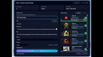 Youtube Channel Manager | Automate uploading with official API