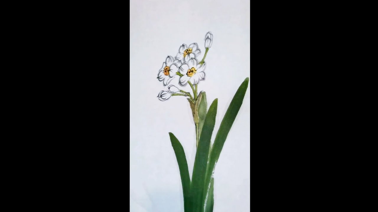 彩墨，水仙花