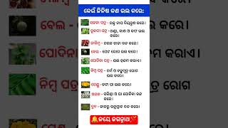 Odia gk shorts || Sadharan gyan short || Odia quiz shorts || Odia general knowledge #gkfacts #shorts
