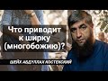 Что приводит к ширку многобожию? - шейх Абдуллах Костекский