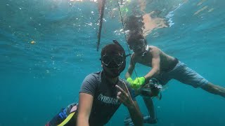 Spearfishing in Palau// ep. 5