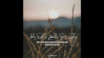 قران كريم _ بصوت شريف مصطفي |حالات واتس اب دينيه 😢💙