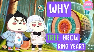 Why Do Trees Have Rings? 🌲 The Forest’s Greatest Artist | 100K Whys
