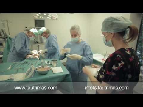 Video: Fakhriye Evgeno Plastinės Chirurgijos Istorija Papiktino Gerbėjus (VIDEO)