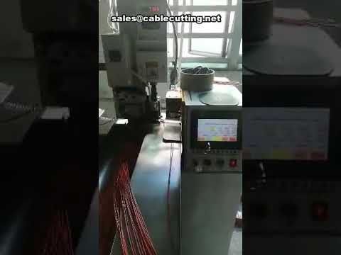 Fully Automatic Wire Cut Strip Crimp Machine for Two-End Processing