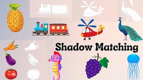 Shadow Matching | Matching the Objects with their Shadows| Activity for kids and Preschoolers