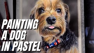 How To Paint a DOG in Pastel || Yorkshire Terrior Pastel Pencil Pet Portrait screenshot 2
