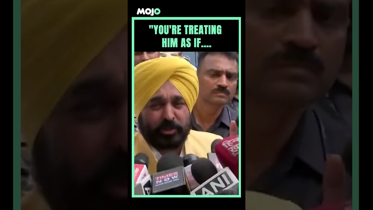 Arvind Kejriwal Treated Like A Terrorist In The Jail: Bhagwant Mann 