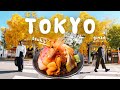 Tokyo Vlog 2026 Ginza Tsukiji Market Food Cafes Restaurants Shopping Japan Travel Guide