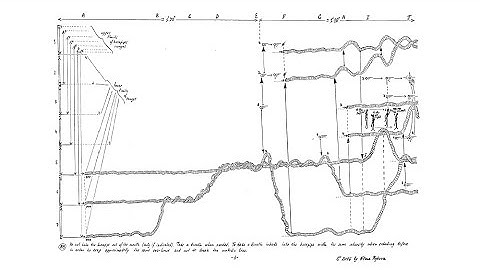 UMS `n JIP ::::: INTEGRATIONS ::::: `Life Expectancy 1, The Sun` by Elena Rykova