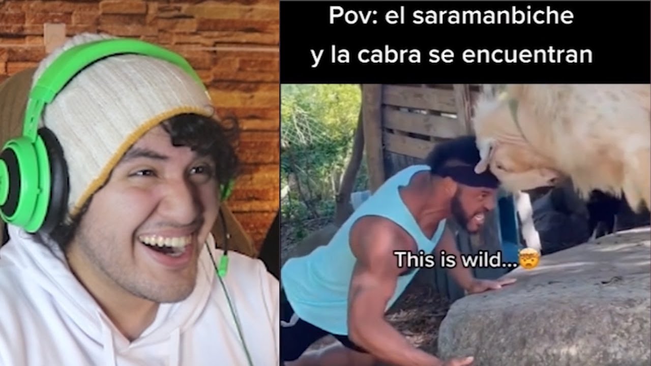 TIKTOKS tan XD que harán que METASCABRASARAMAMBICHE