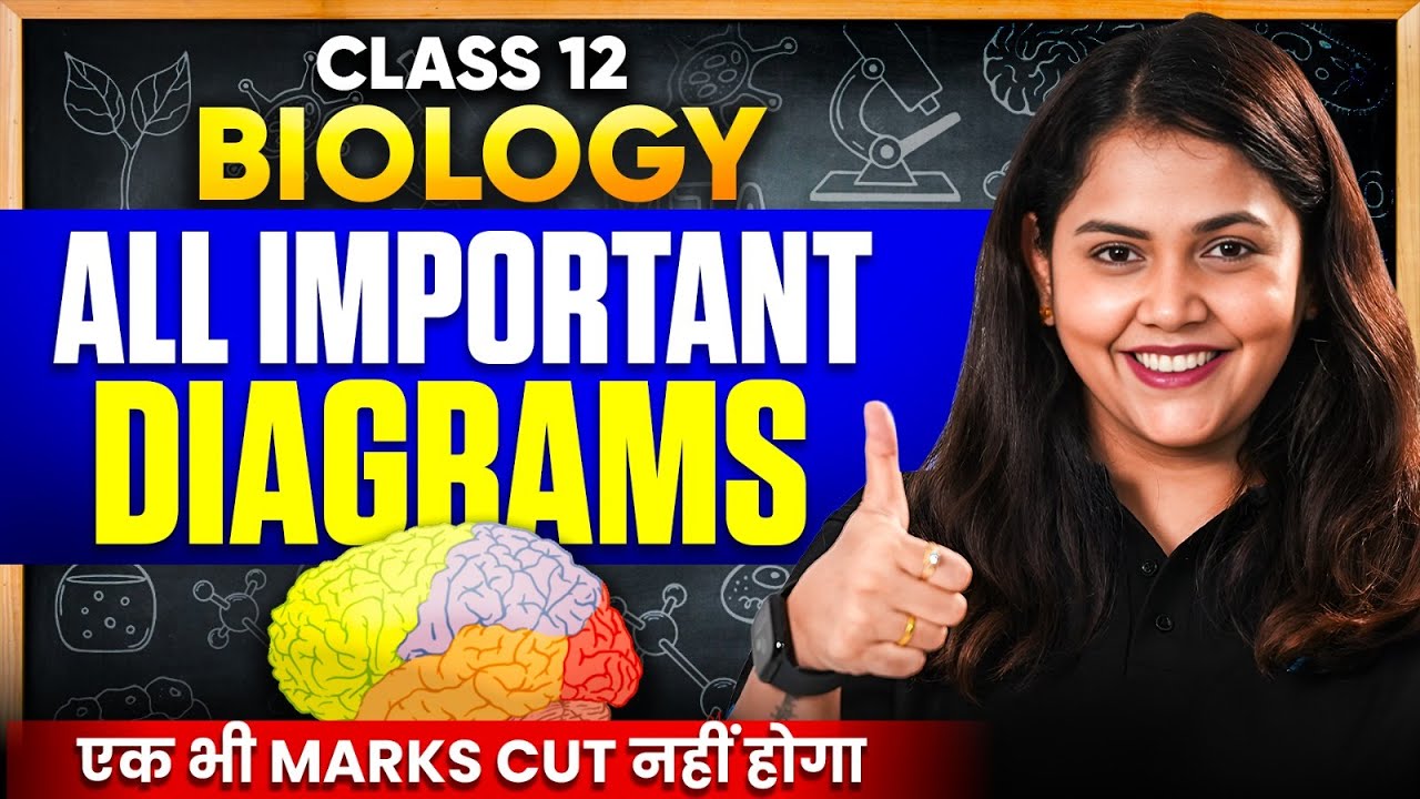 Class 12 Biology All Important Diagrams - One Shot | CBSE Board Exam ...