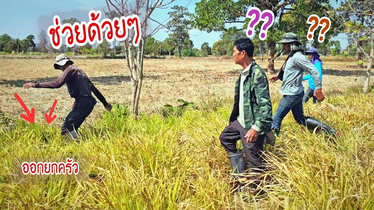 ไม่คาดคิดว่าจะอยู่รวมกันแบบนี้จนต้องร้องหาคนจับช่วยมันเยอะมากๆ ล่าอาหารป่าทีมงานใหญ่หนุ่มอ้น