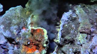 Chemistry and Physics of Magma Formation