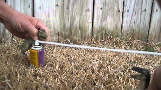 The discoveries of Rex and Max, Silly String
