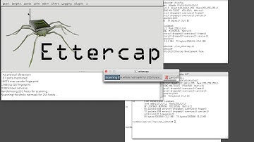 Mininet SSH MITM Attack Demo