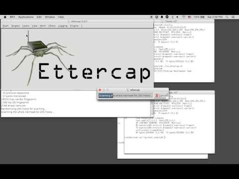 Mininet SSH MITM Attack Demo