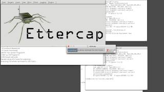 Mininet SSH MITM Attack Demo