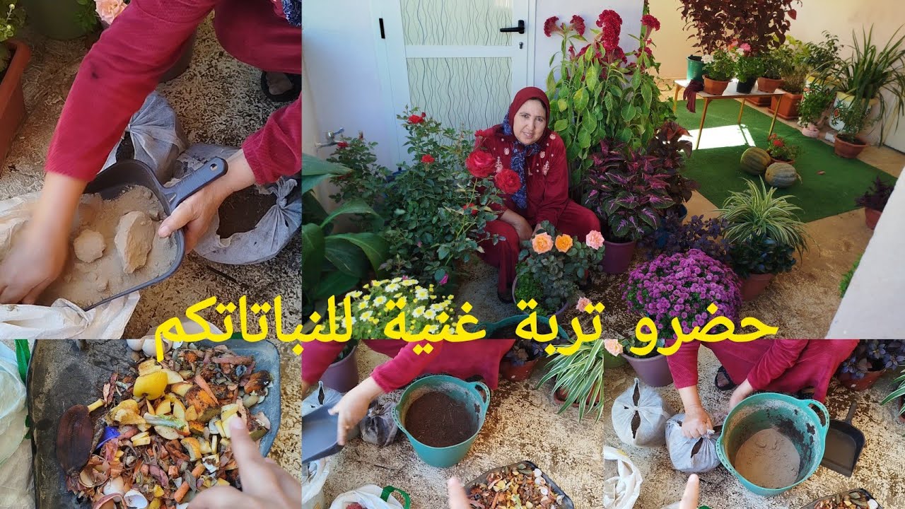 مكونات تضيفها على تربة عادية تجعلها خصبة وصالحة للزراعة أي نبتة تزرعها تنجح وتنمو بسرعة 