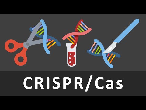 Video: Was müssen Sie über Crispr wissen?