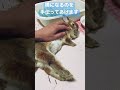 うさぎの寝かしつけのポイント