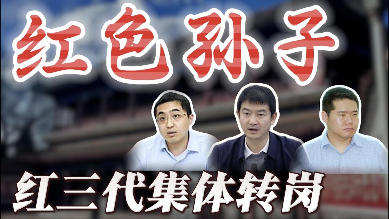 【“红三代”集体退出地方党政，转岗国企】邓小平孙子邓卓棣，陈云外孙董巍，叶剑英曾孙叶仲豪；邓卓棣抽身广西，避开了蓝天立有色金属倒查十年；叶仲豪曾与胡春华共同献花