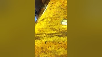 Gamingmodz Controller Unboxing