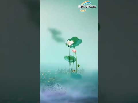 True Line Muhammad Ajmal Raza Qadri TRM Studio