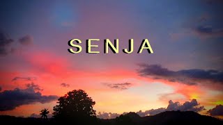 Cinematic video senja di sawah suasana sejuk