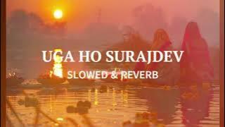 Uga Ho Suraj Dev Bhojpuri Chhath Puja Geet Lofi Slowed Reverb Byy Anuradha Paudwal (Full video song)