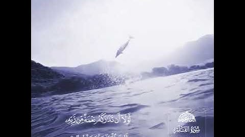 سوره القلم القارى مشاري البغلي