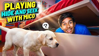 MiCO কে নিয়ে লুকোচুরি খেলা 😂 | FUNNY DOG HIDE &amp; SEEK CHALLENGE 😝