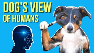 Do Dogs View Humans As Dogs? ( Sounds Weird )