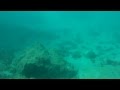 Anini beach snorkeling  dive
