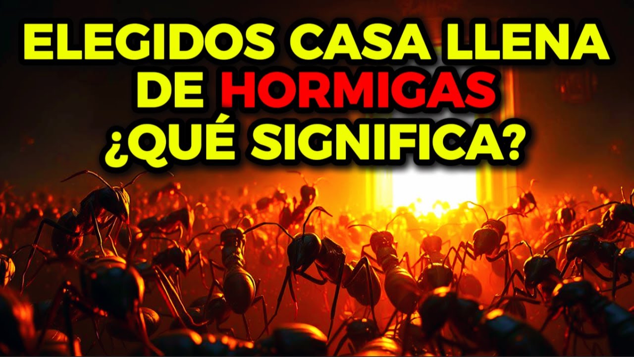 Descubre el Significado Espiritual de la HORMIGA en tu Casa - ¡Es Sorprendente!🐜🏠