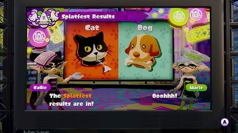 Splatoon: Cat Vs Dog?! Plus New DLC Weapons! (E-Liter 3k & L-3 Nozzlenose)