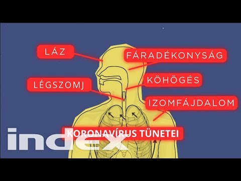 Videó: A Test Fertőzésének Tünetei