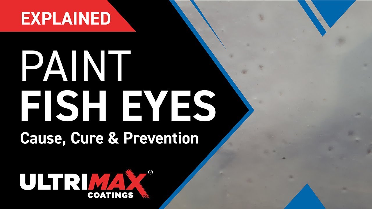 Explained: What Causes Fish Eyes In Paint Finish?