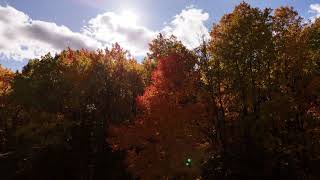Fall colors, Leaf Chasing, Sheboygan County 10/20/23