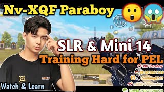 Nv-XQF Paraboy DMR Training for PEL 2020 • Paraboy SLR Mini-14 • Practice like Paraboy Pubg